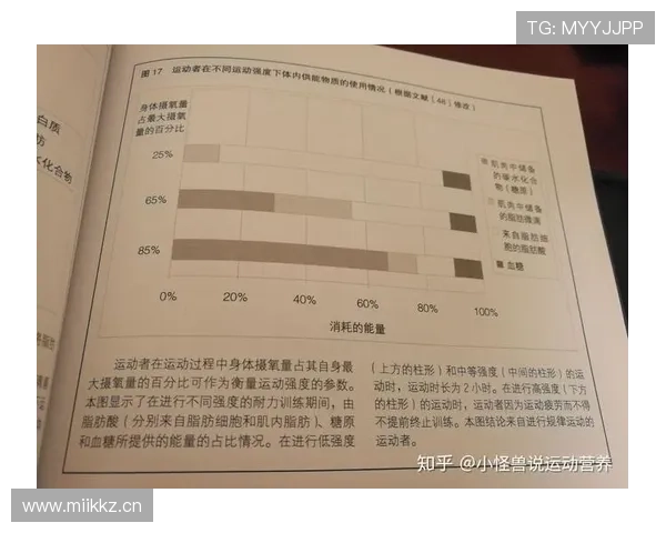 基于体育技术分析的运动表现评估与训练优化研究方法探讨